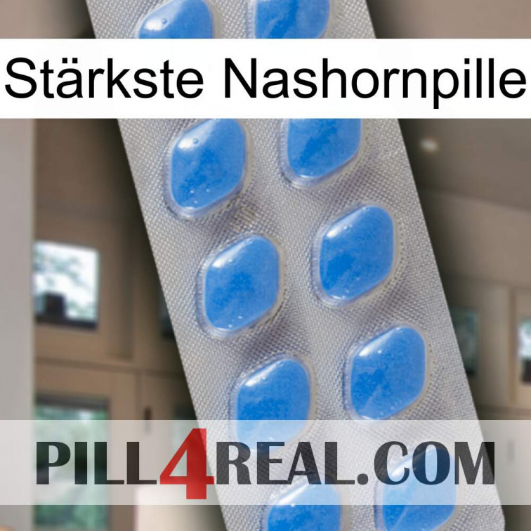 Stärkste Nashornpille 22